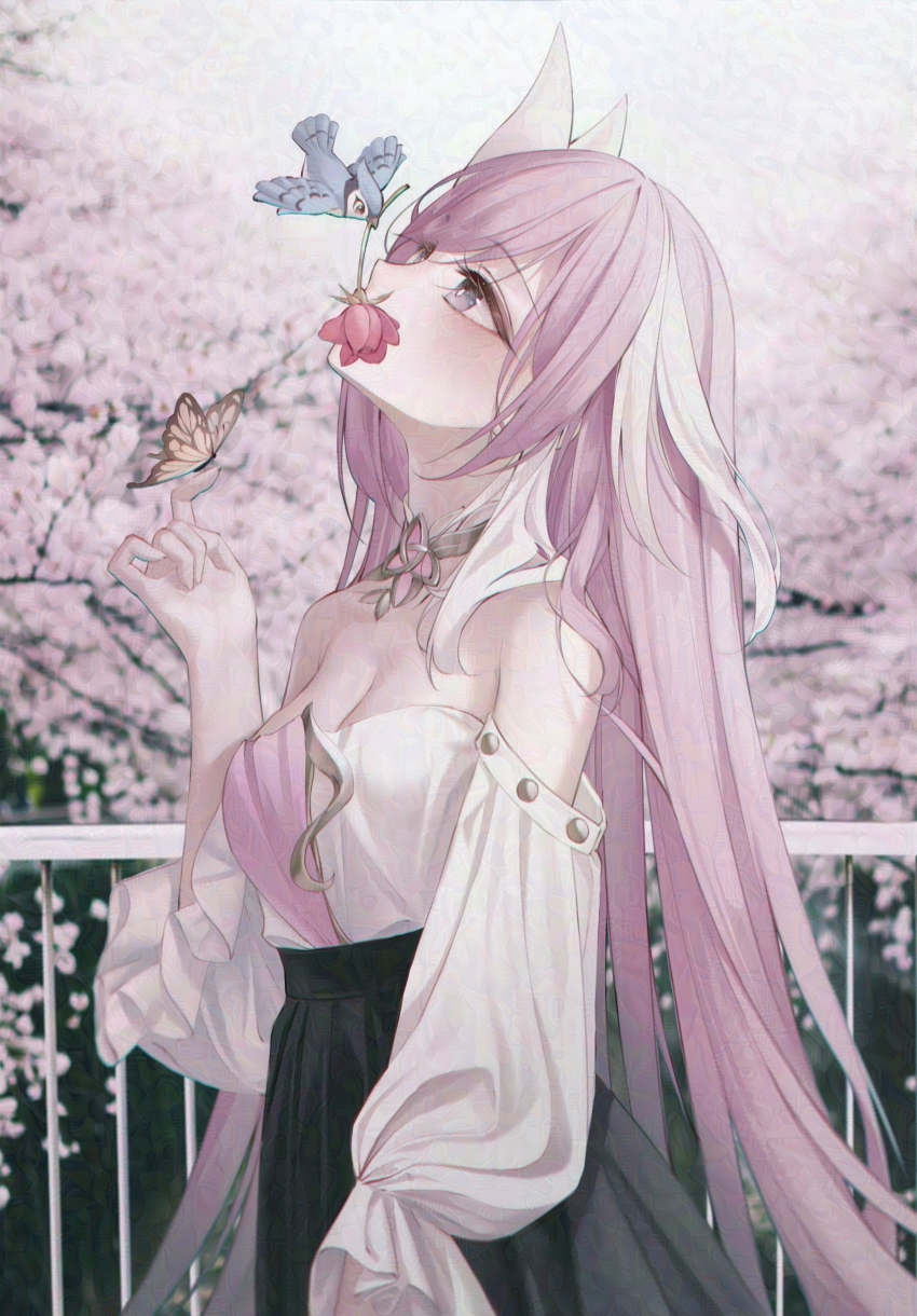 Elysia (Herrscher Of Human: Ego) (Honkai Impact) Rule 34 Image