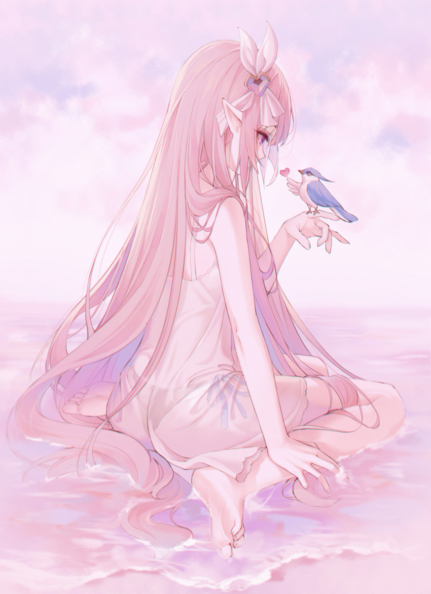 Elysia (Herrscher Of Human: Ego) (Honkai Impact) Rule 34 Image