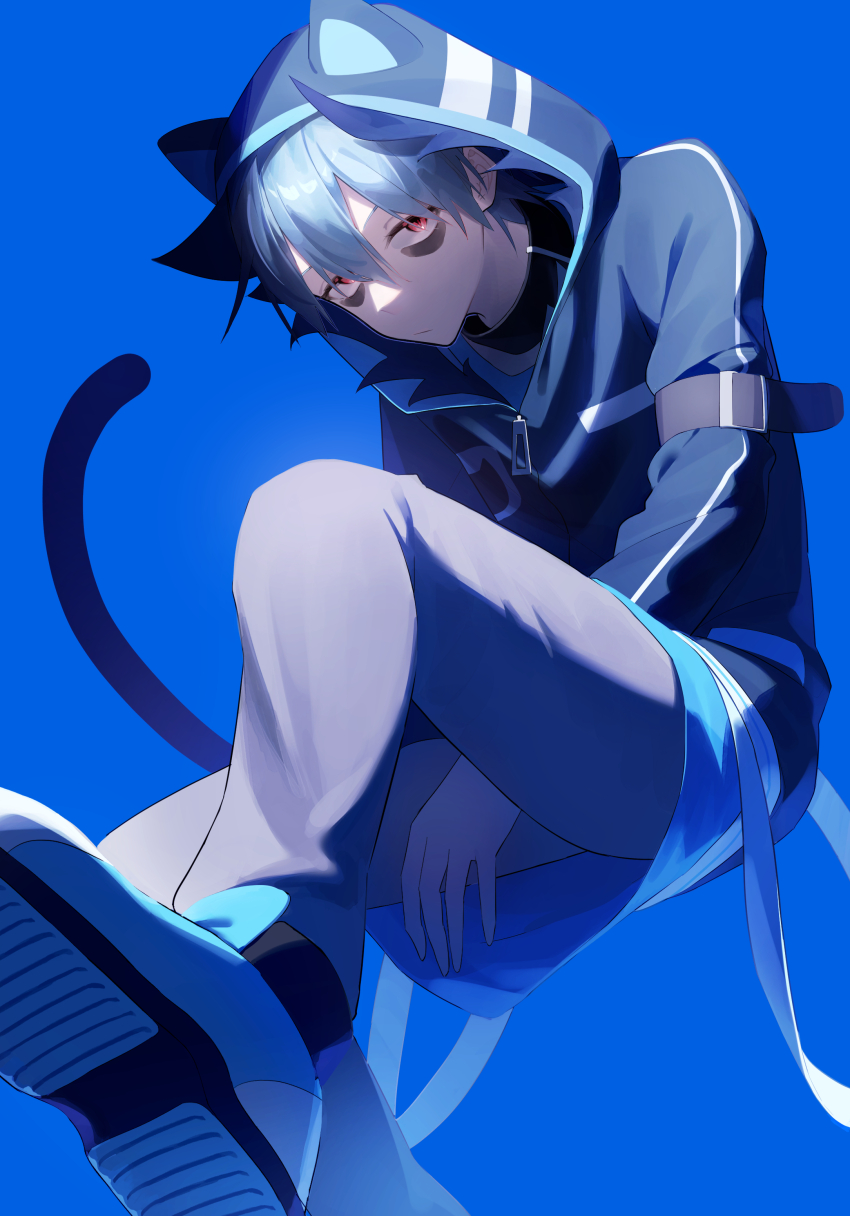 Servamp Rule 34 Image