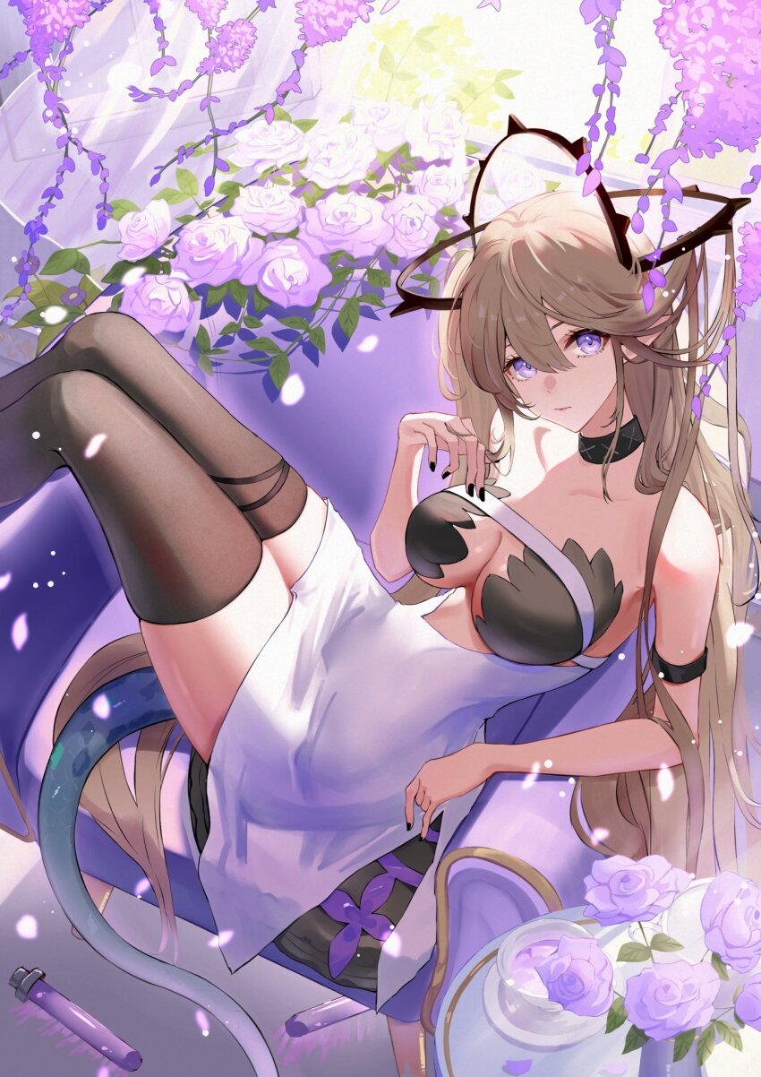 Arknights Rule 34 Image