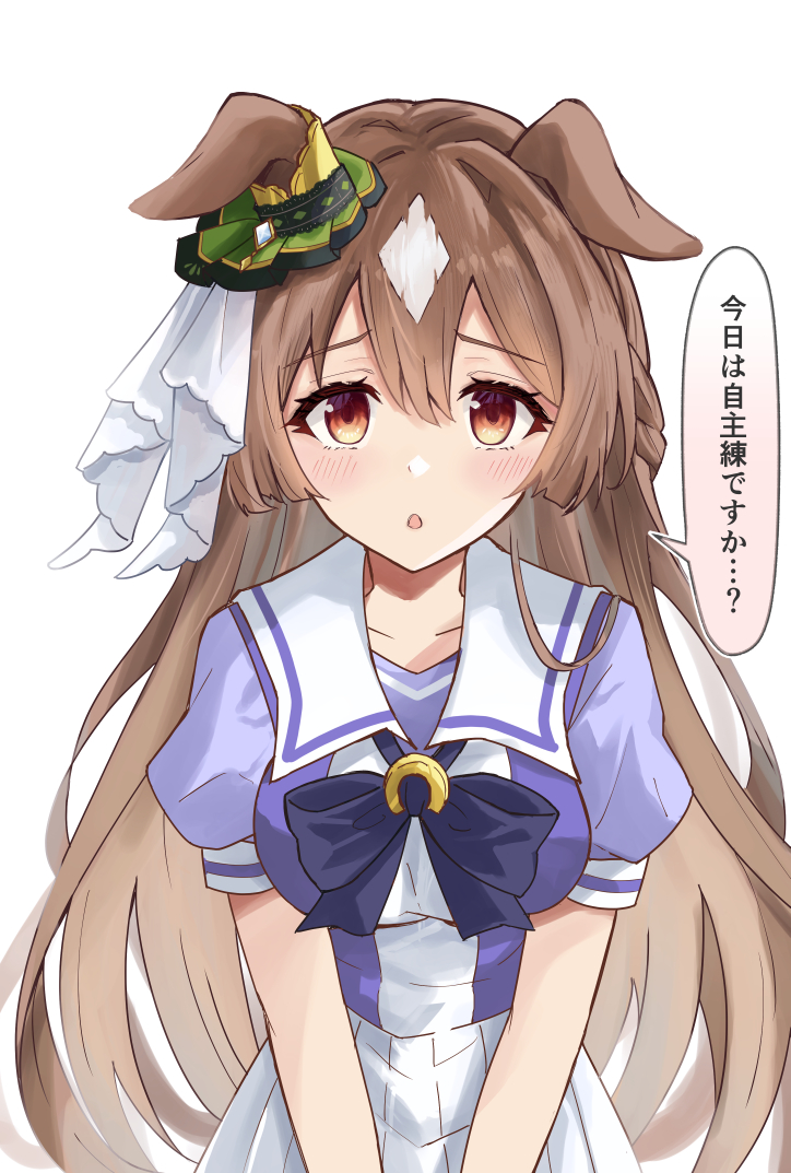 Satono Diamond (Umamusume) Rule 34 Image