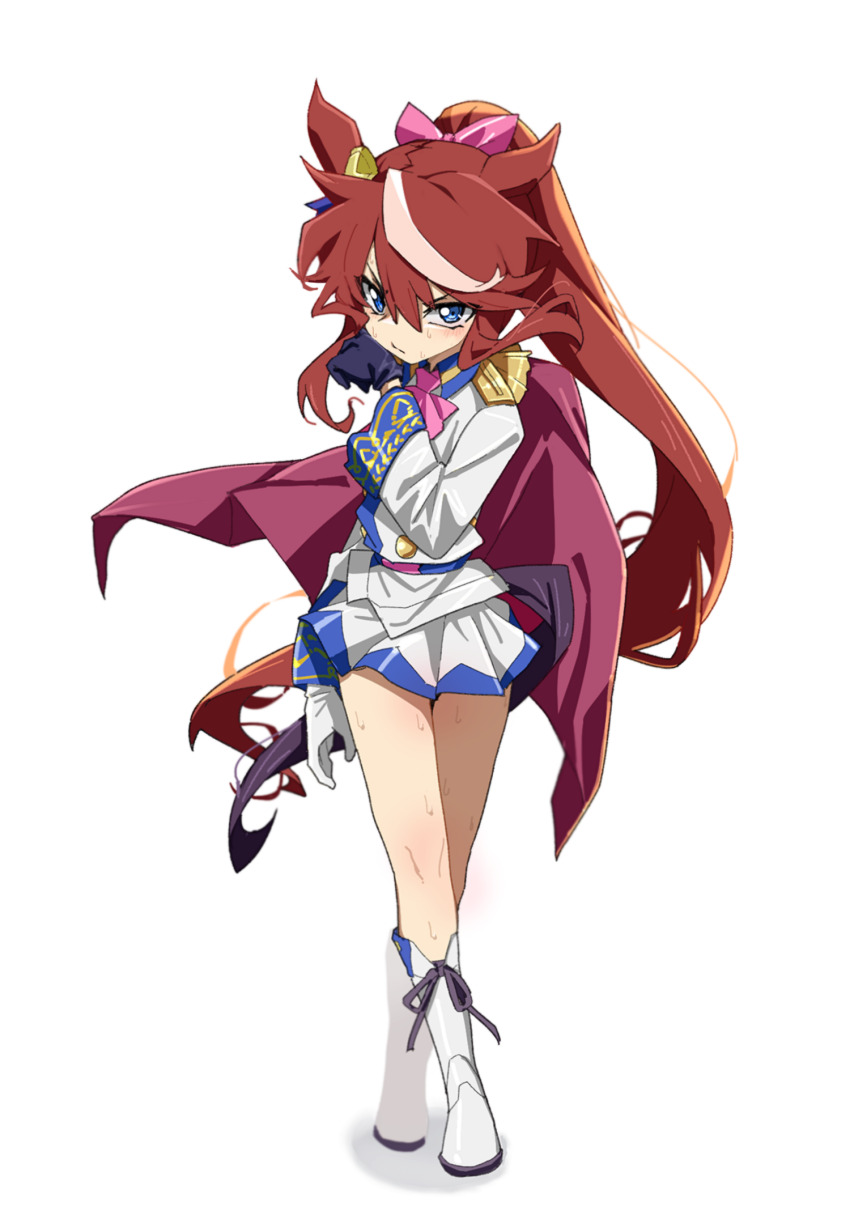 Tokai Teio (Umamusume) Rule 34 Image