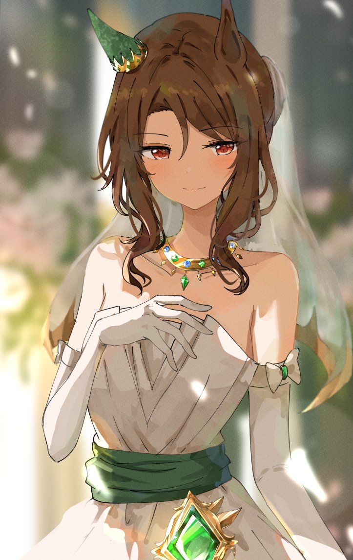 King Halo (Umamusume) Rule 34 Image
