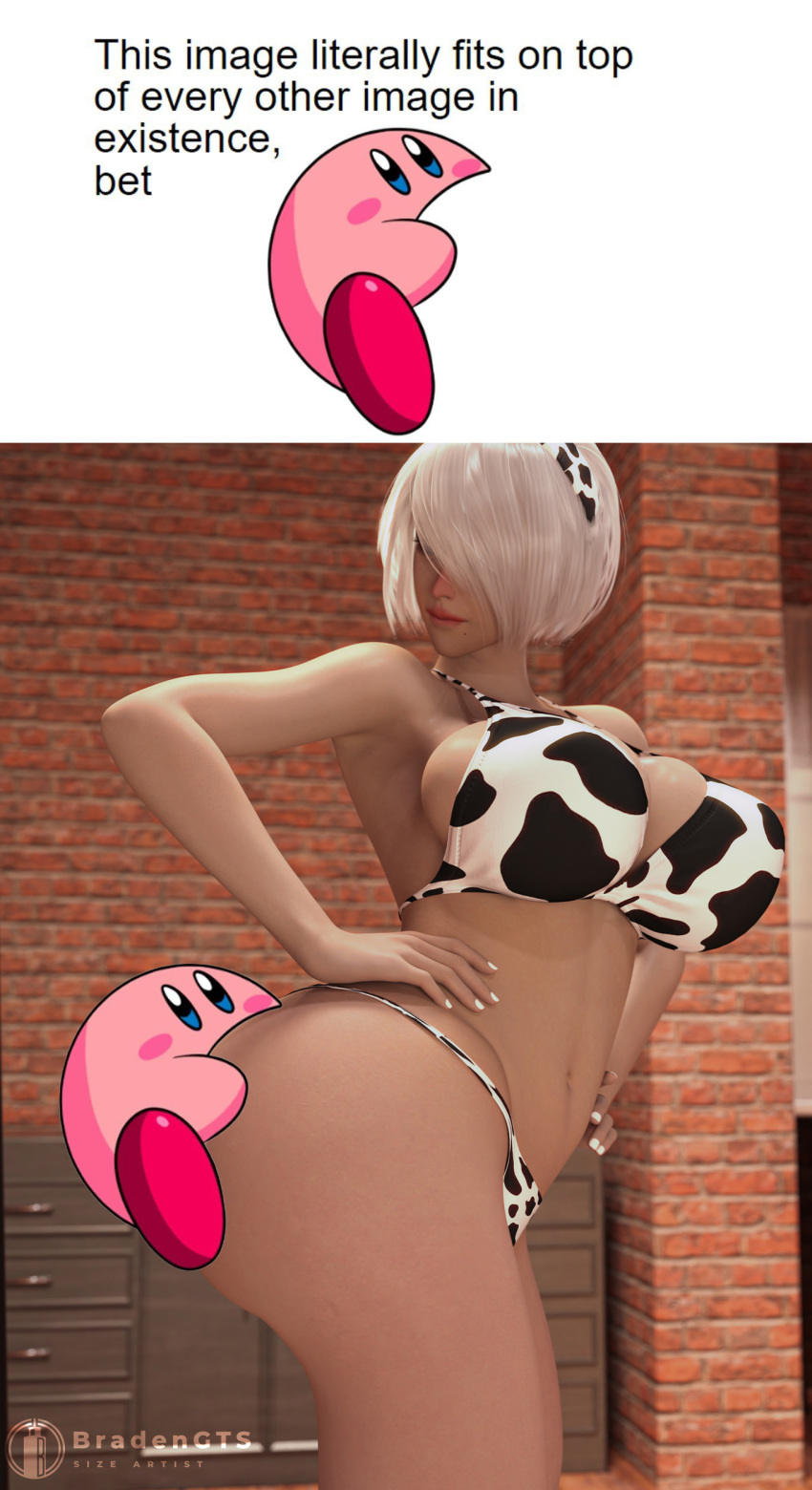 Kirby (Series) Rule 34 Image