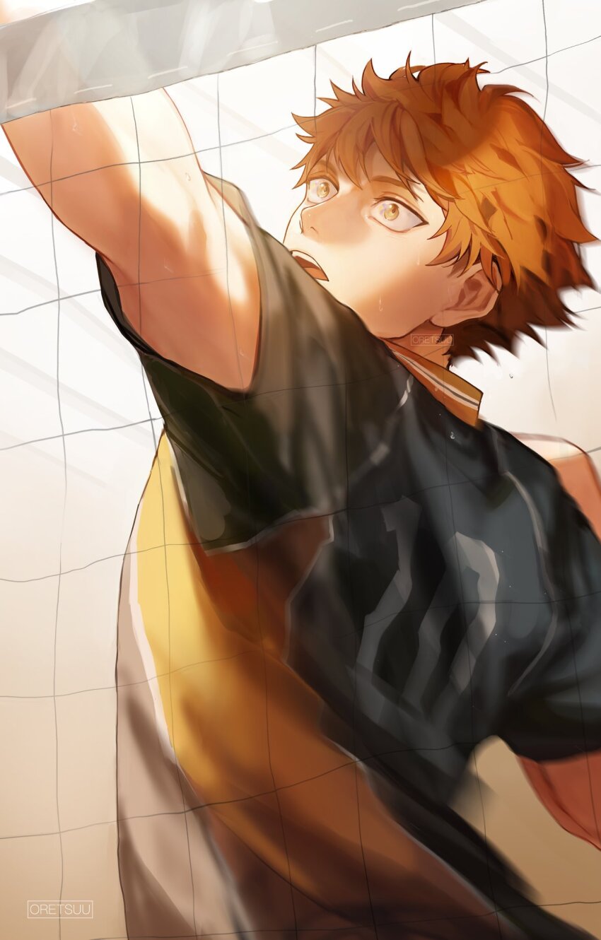 Hinata Shouyou (Haikyuu!!) Rule 34 Image