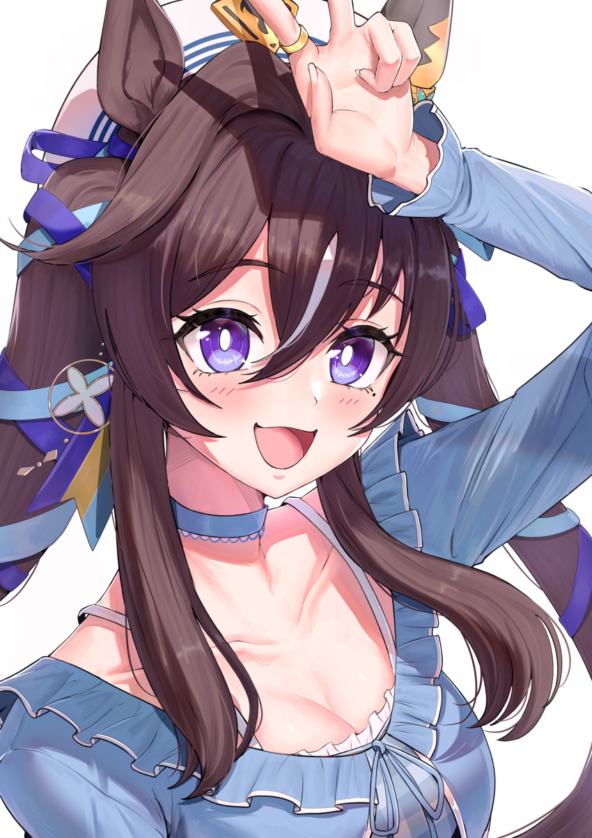 Vivlos (Umamusume) Rule 34 Image