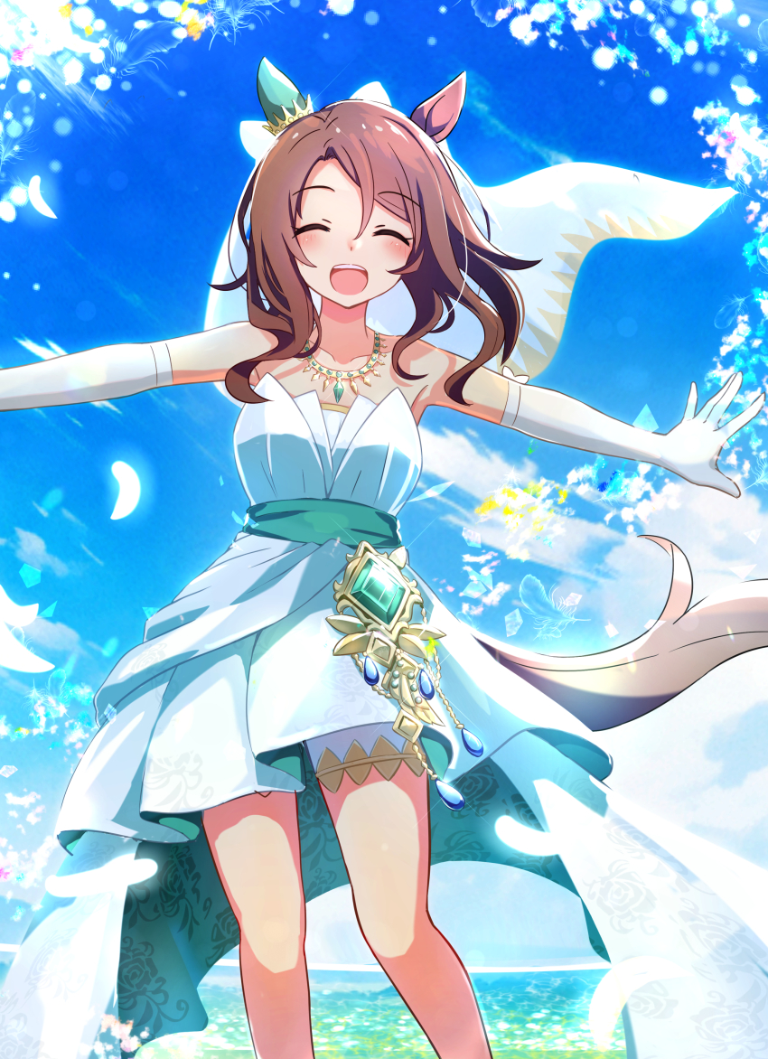 King Halo (Umamusume) Rule 34 Image