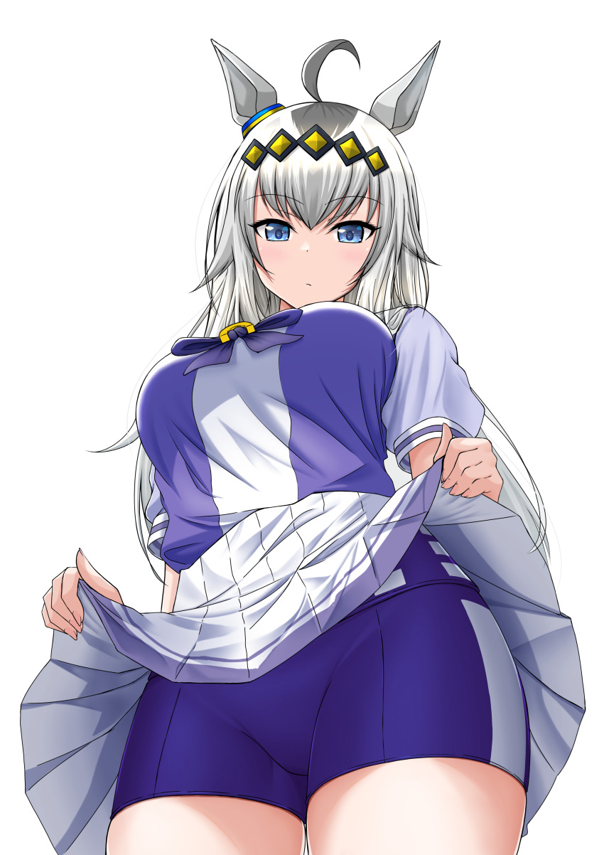 Oguri Cap (Umamusume) Rule 34 Image