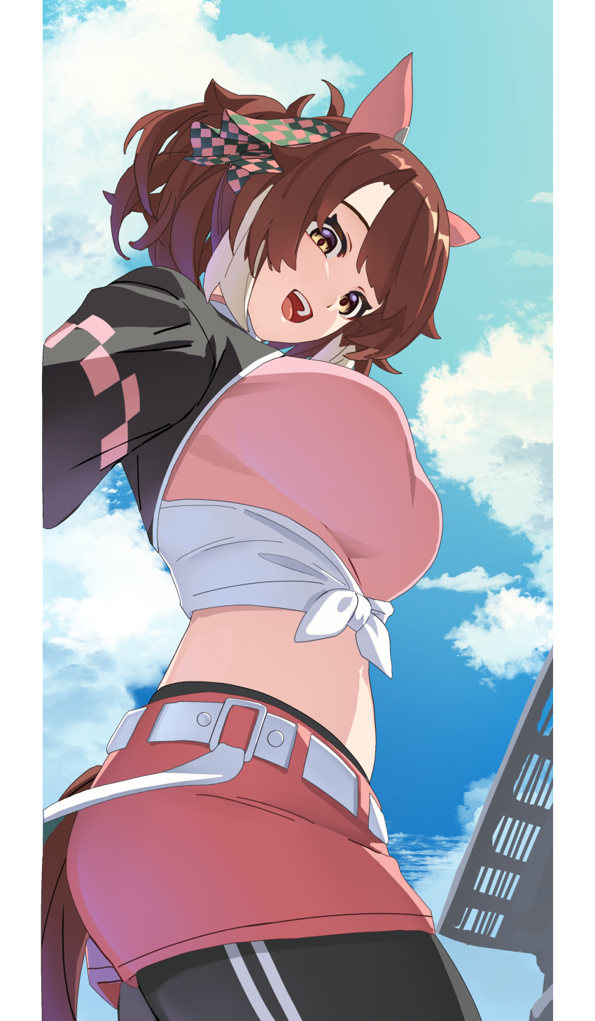 Dantsu Flame (Center Spotlight) (Umamusume) Rule 34 Image