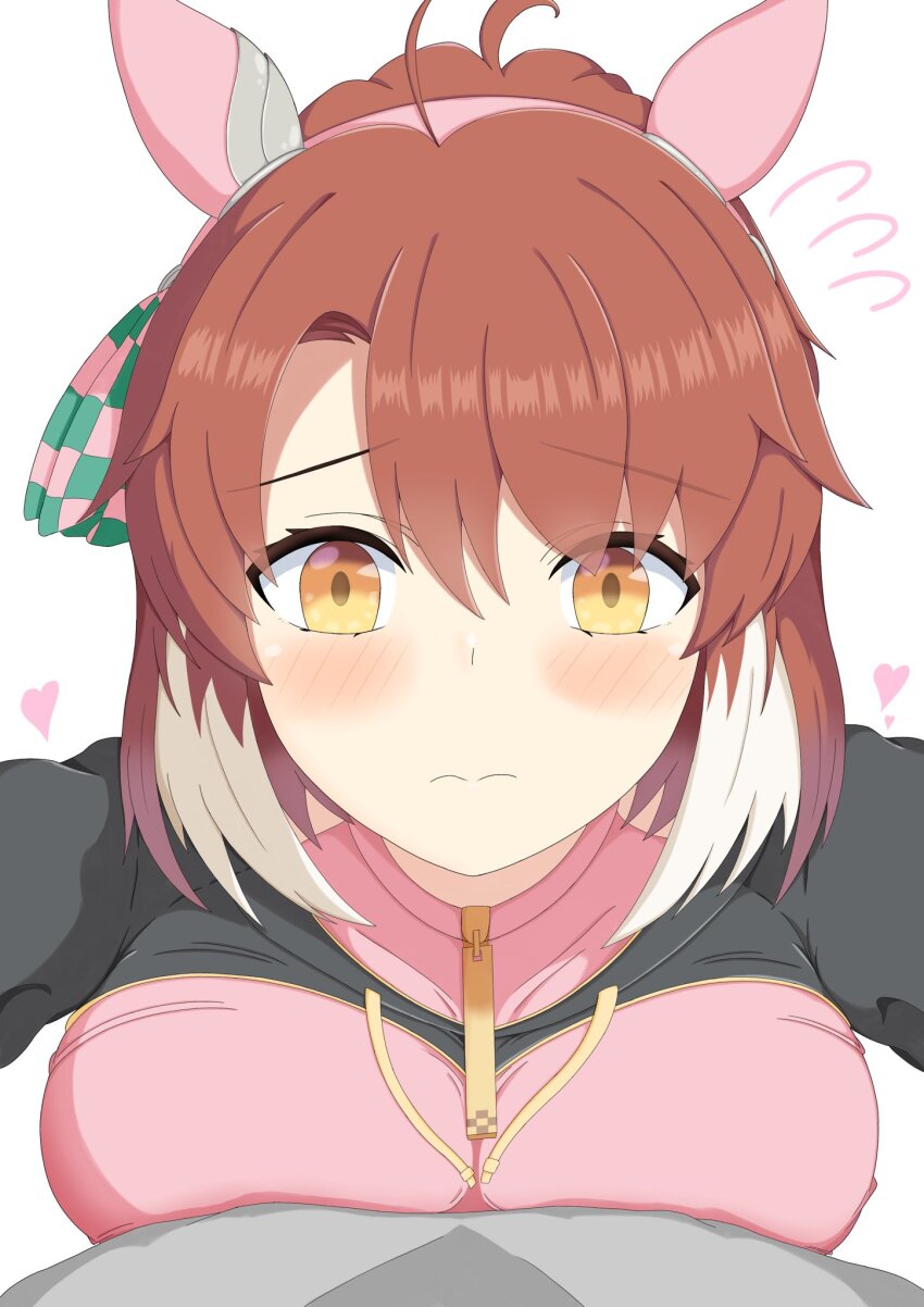 Dantsu Flame (Center Spotlight) (Umamusume) Rule 34 Image