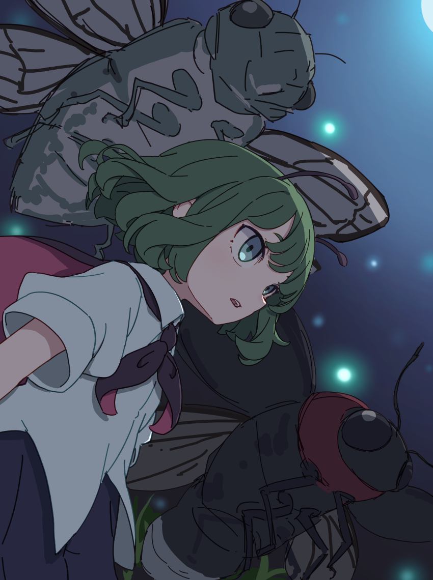 Wriggle Nightbug (Touhou) Rule 34 Image