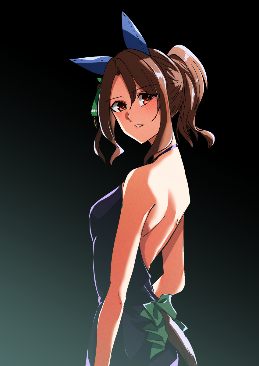 King Halo (Umamusume) Rule 34 Image