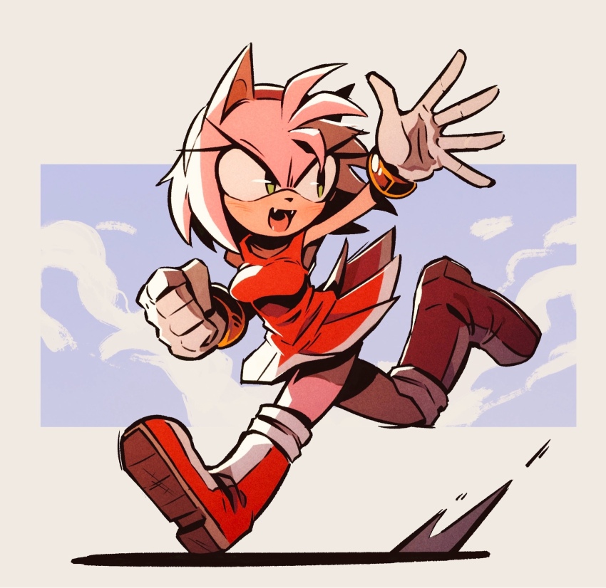 Amy Rose (Sonic (Series)) Rule 34 Image