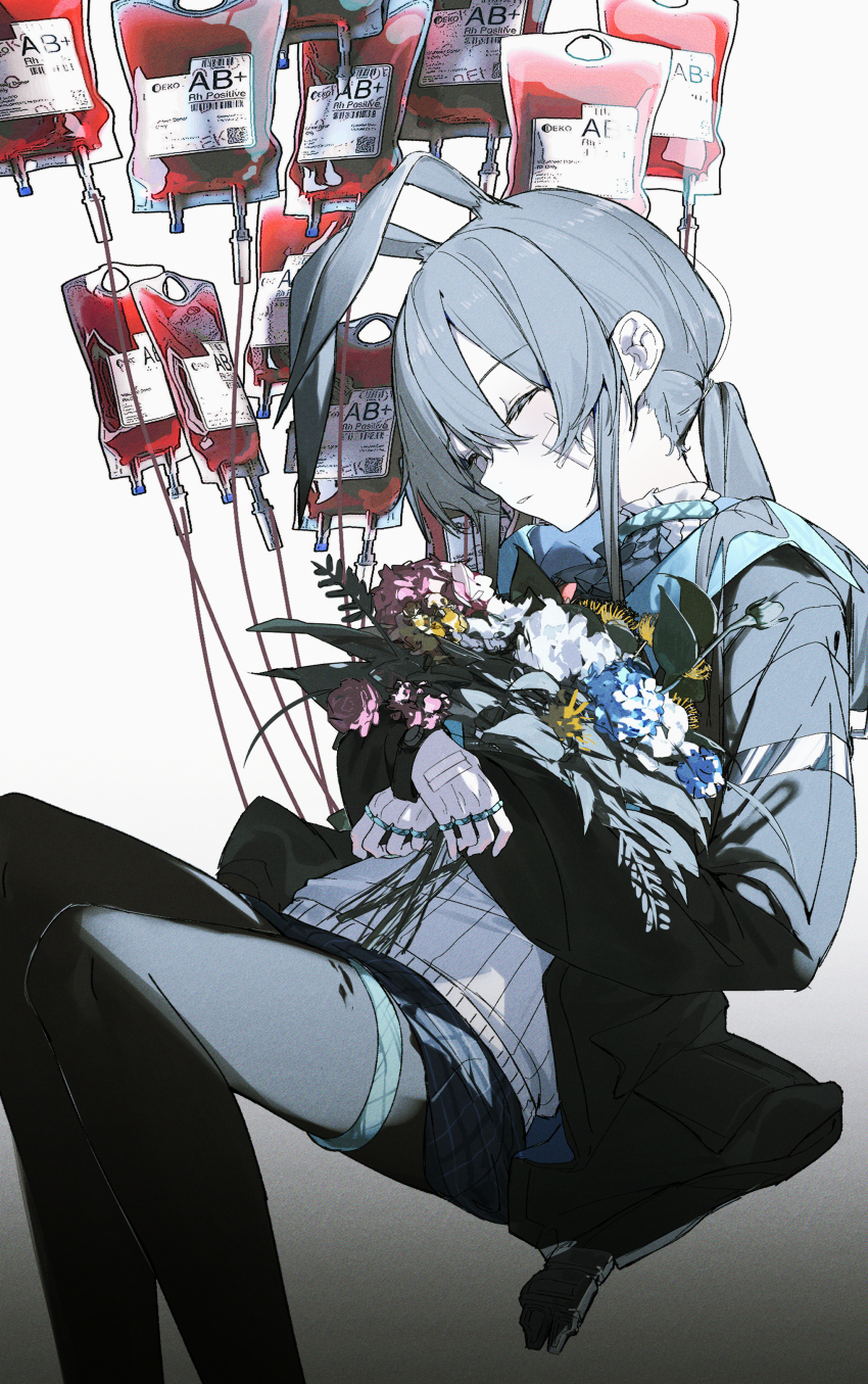 Amiya (Arknights) Rule 34 Image