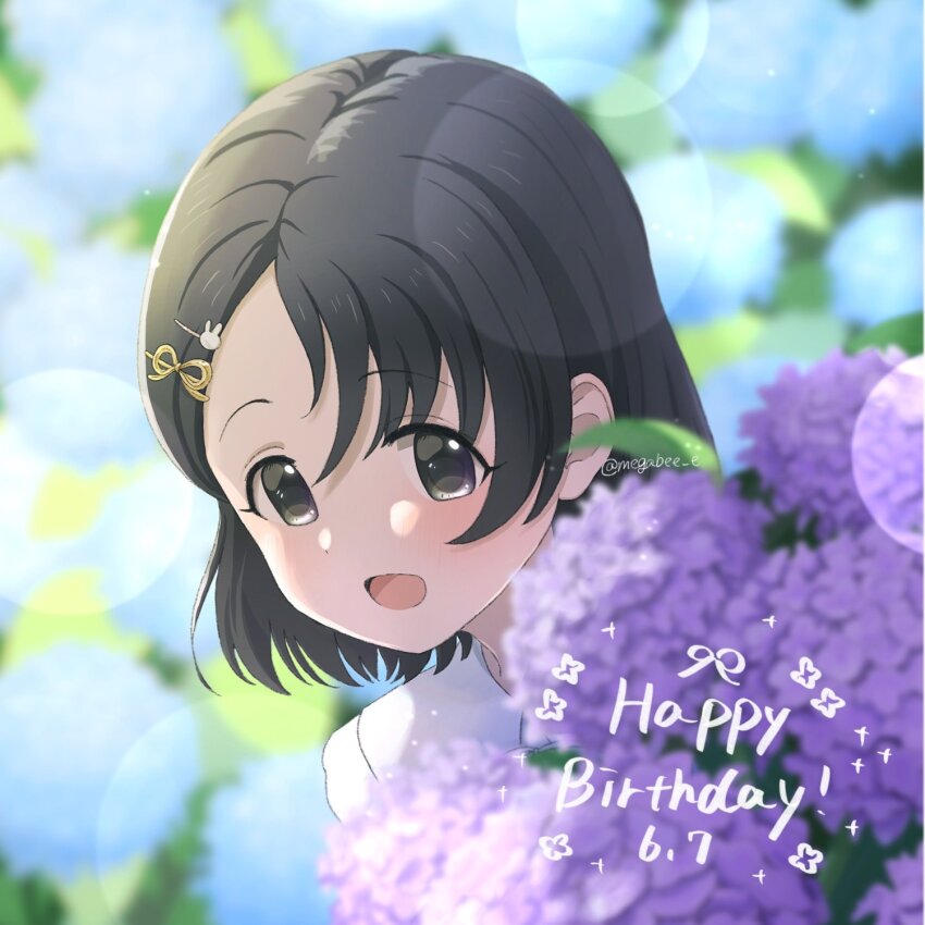 Sasaki Chie (Idolmaster) Rule 34 Image