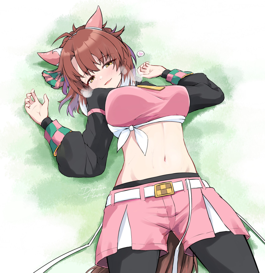 Dantsu Flame (Center Spotlight) (Umamusume) Rule 34 Image
