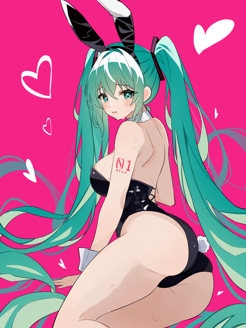Hatsune Miku (Vocaloid) Rule 34 Image