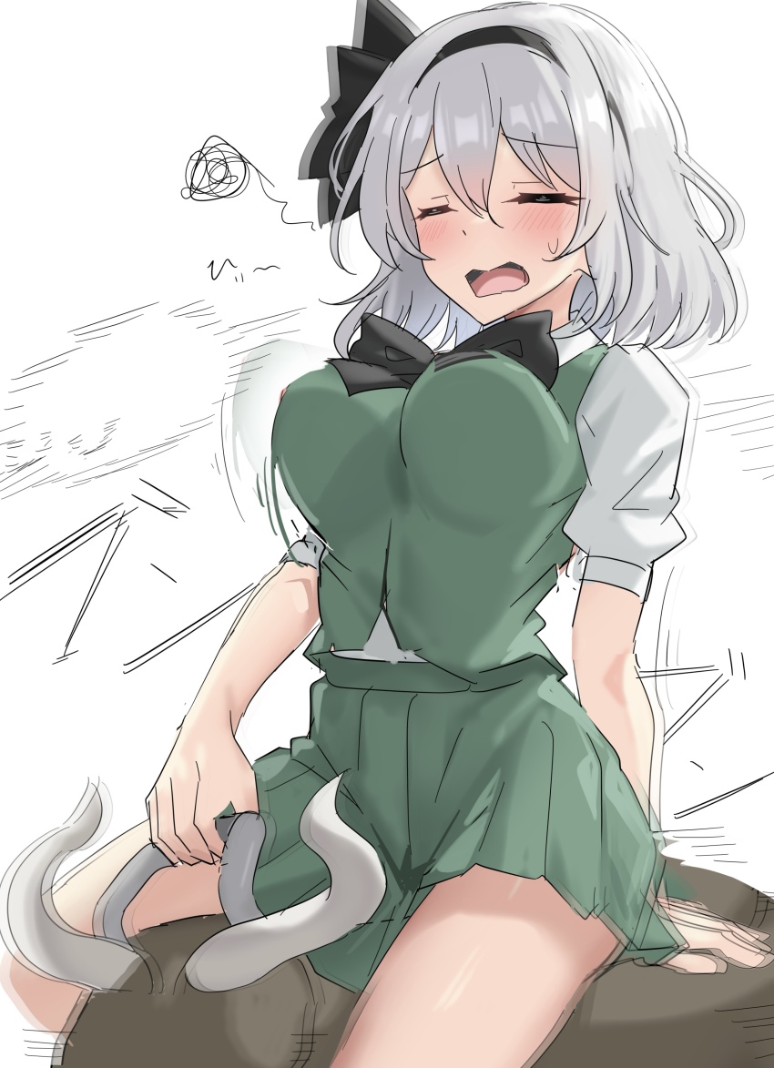 Konpaku Youmu (Touhou) Rule 34 Image