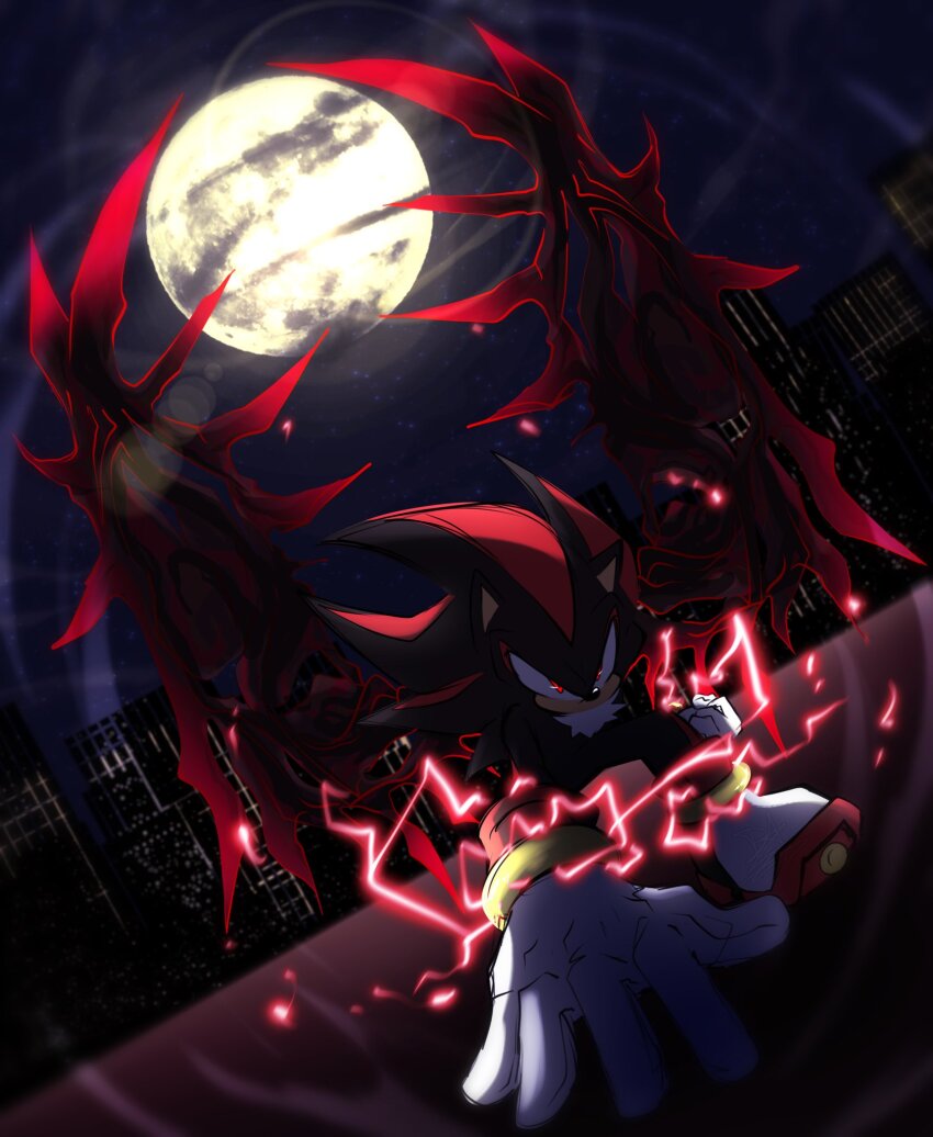 Shadow The Hedgehog (Sonic (Series)) Rule 34 Image