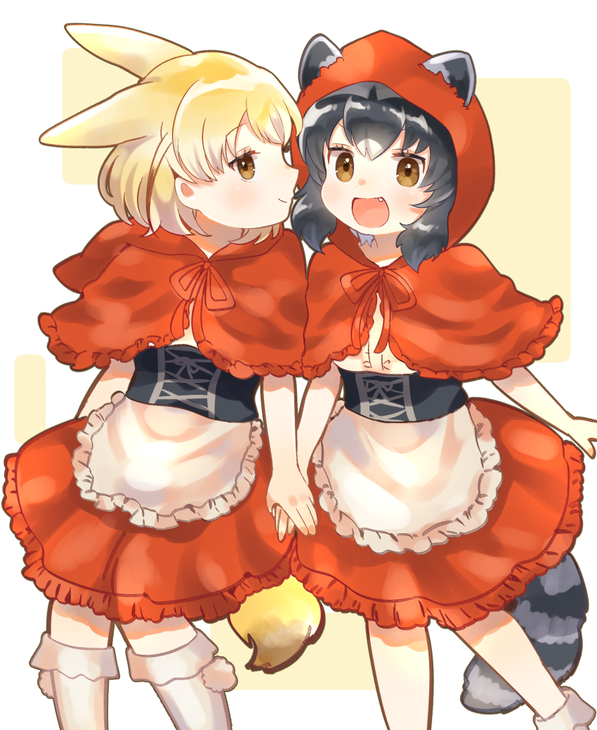 Common Raccoon (Kemono Friends) Rule 34 Image