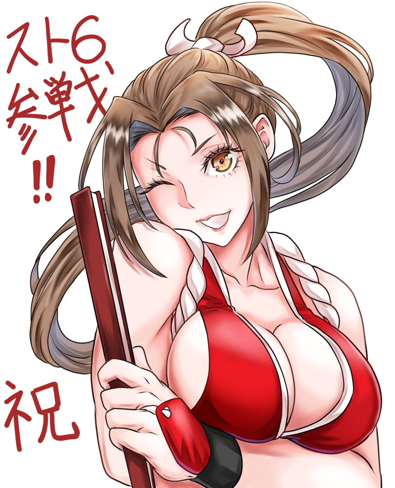 Fatal Fury Rule 34 Image