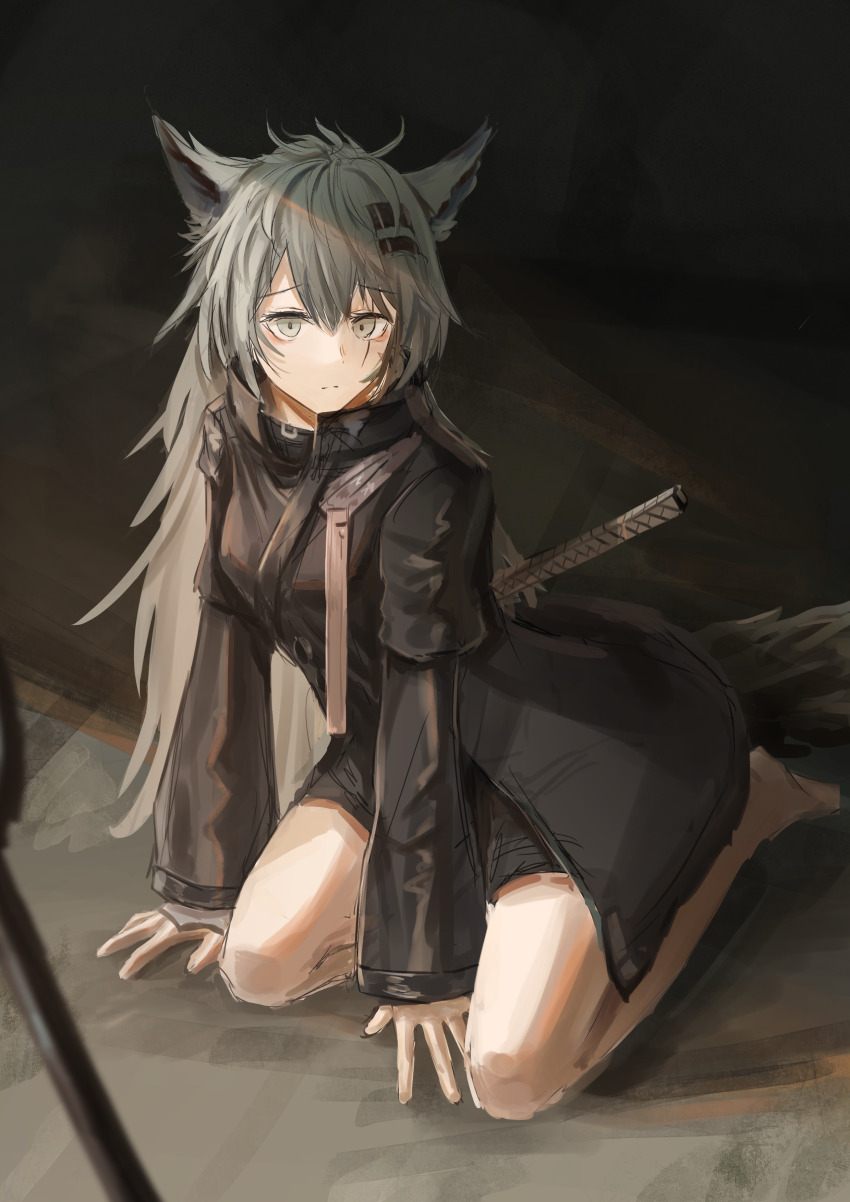 Lappland (Arknights) Rule 34 Image