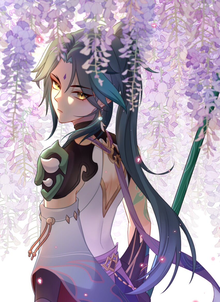 Wisteria (Genshin Impact) Rule 34 Image