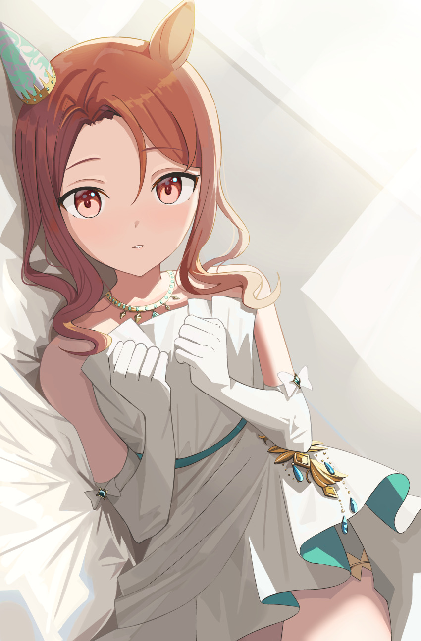 King Halo (Umamusume) Rule 34 Image