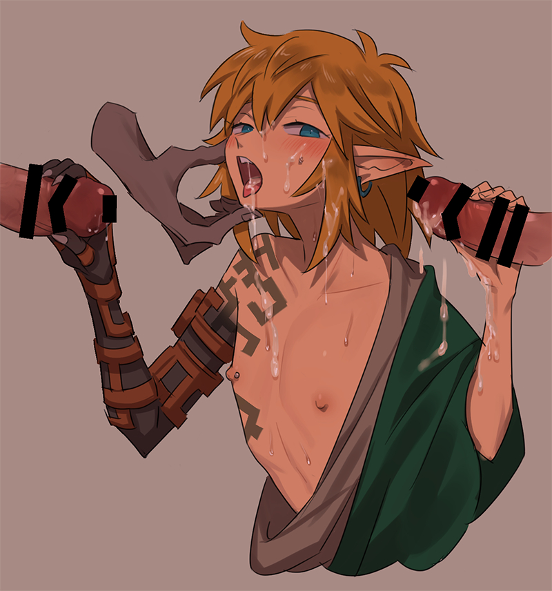 Link (Tears Of The Kingdom) Rule 34 Image