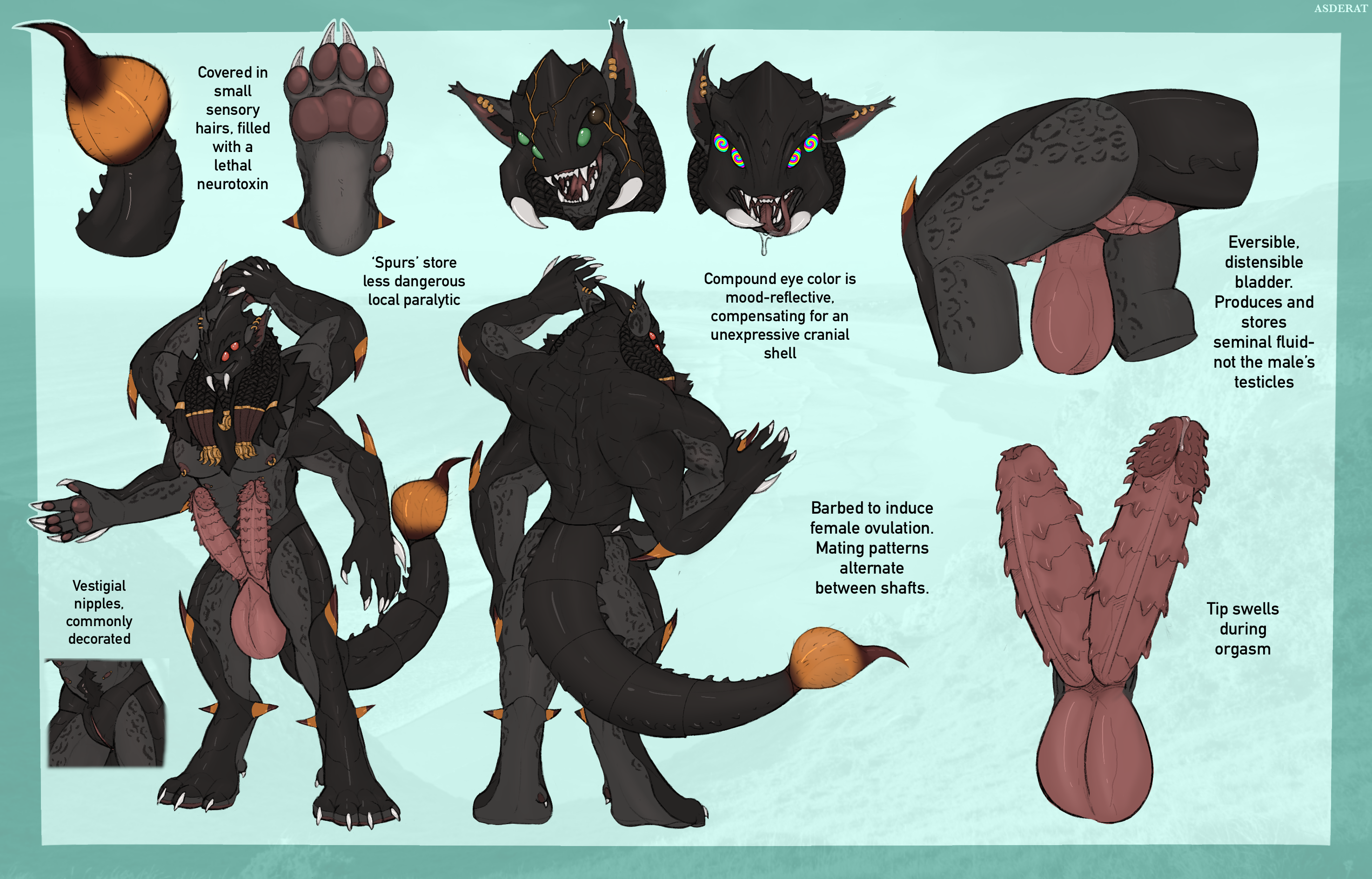Spikes (Anatomy) Rule 34 Image