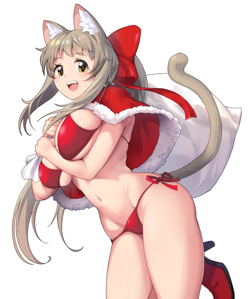 Christmas Rule 34 Image