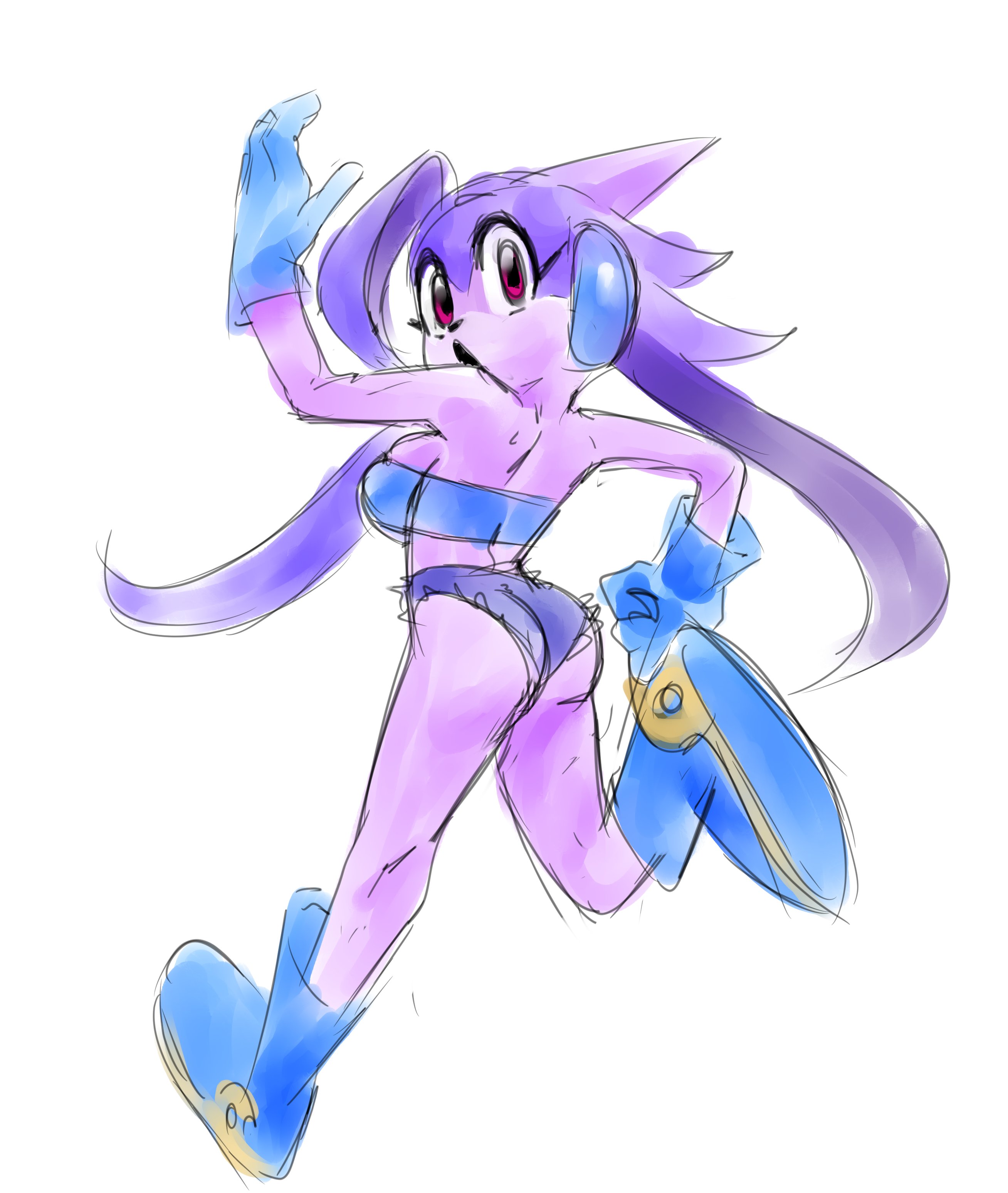 Sash Lilac (Freedom Planet) Rule 34 Image