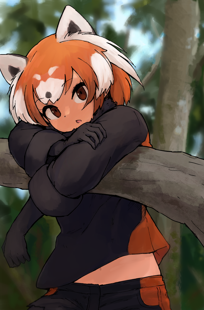 Kemono Friends Rule 34 Image