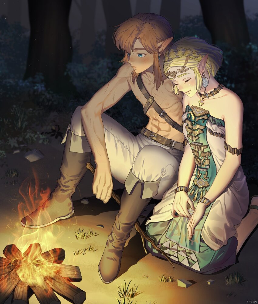 Link (Nintendo) Rule 34 Image