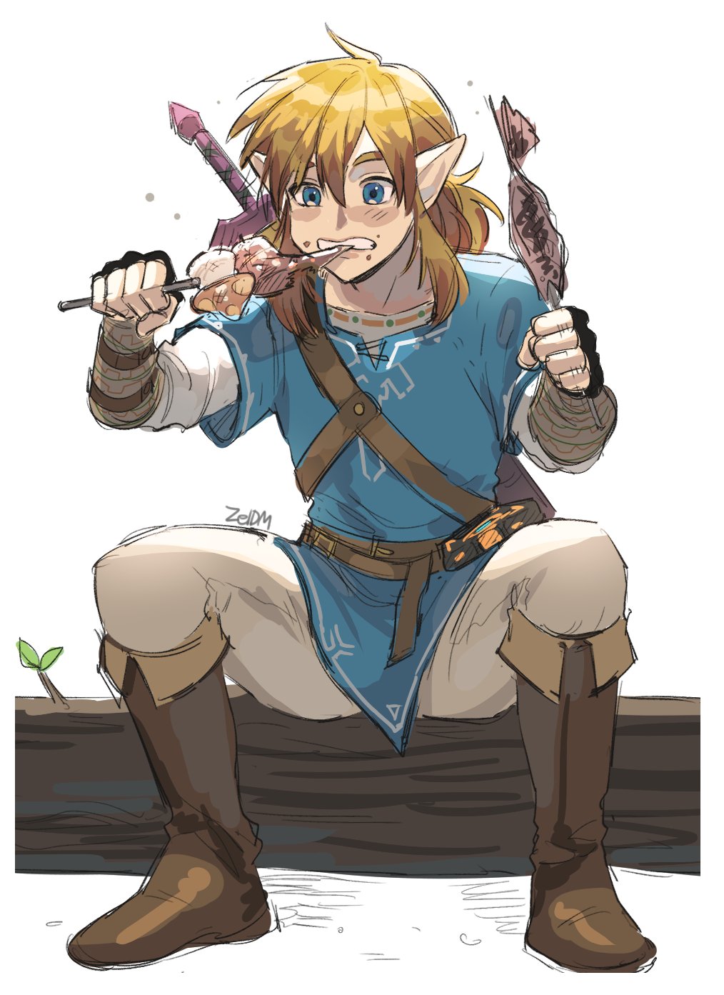 Link (Nintendo) Rule 34 Image