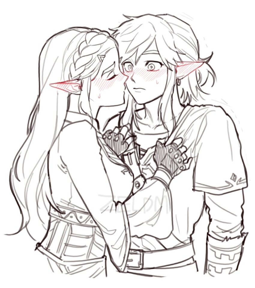 Link (Nintendo) Rule 34 Image
