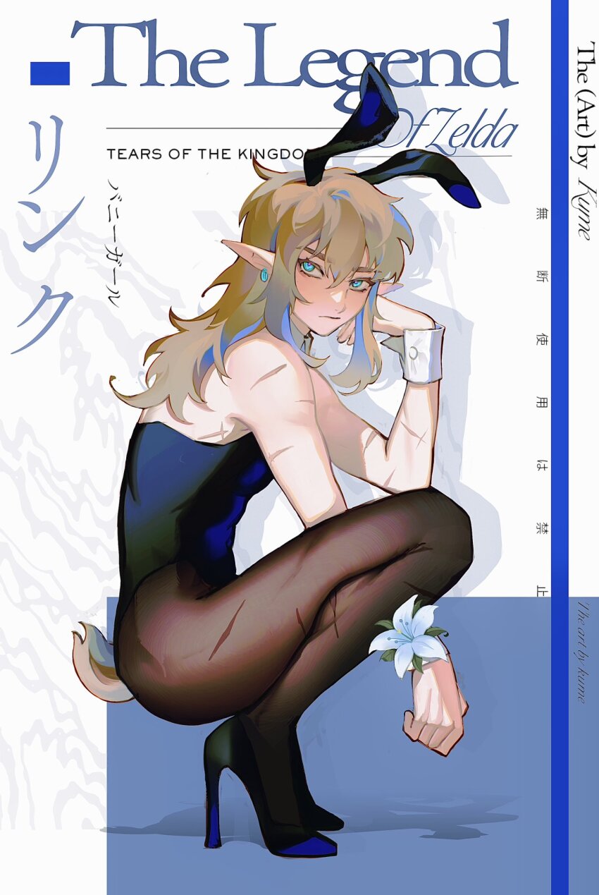 Link (Nintendo) Rule 34 Image