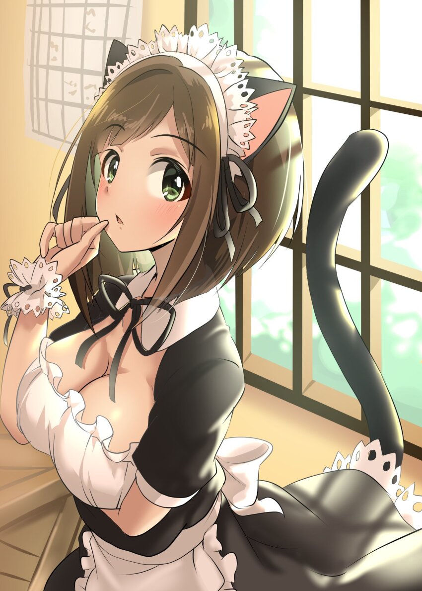 Maekawa Miku (Idolmaster) Rule 34 Image