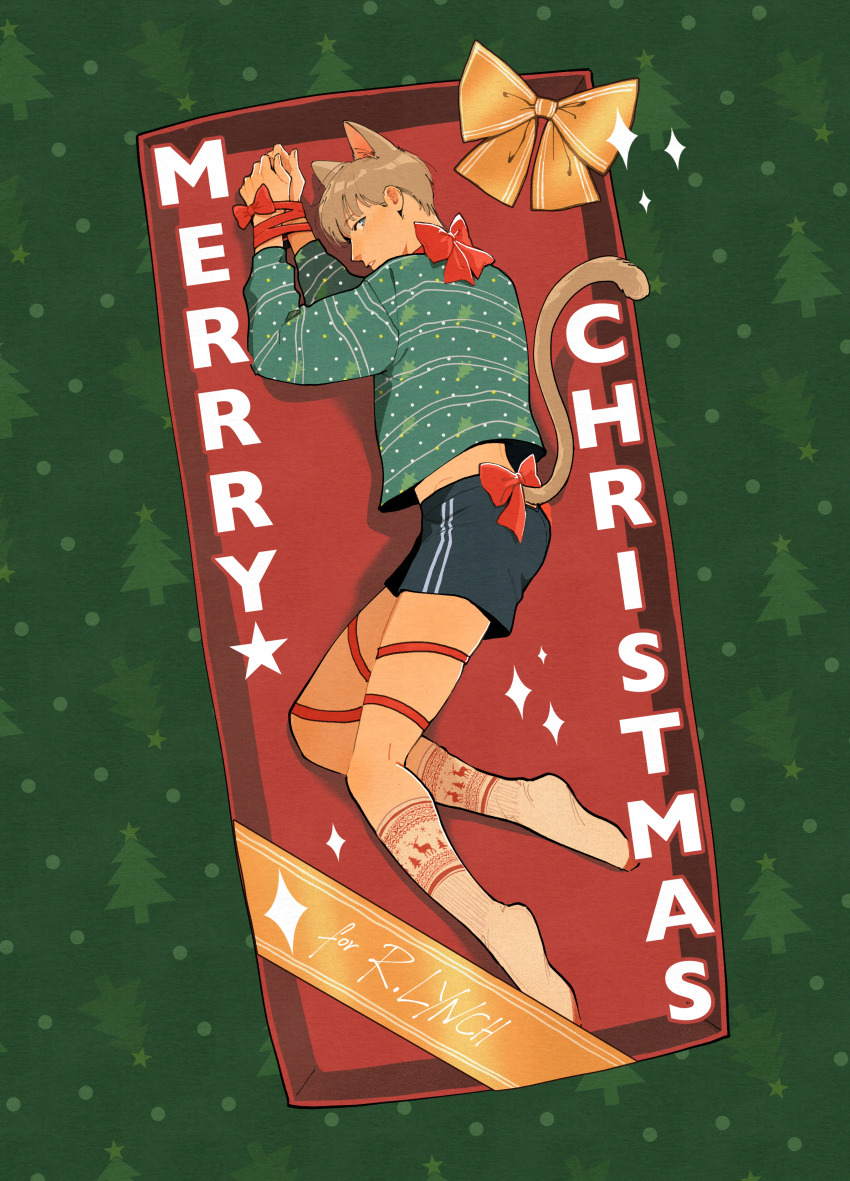 Christmas Rule 34 Image