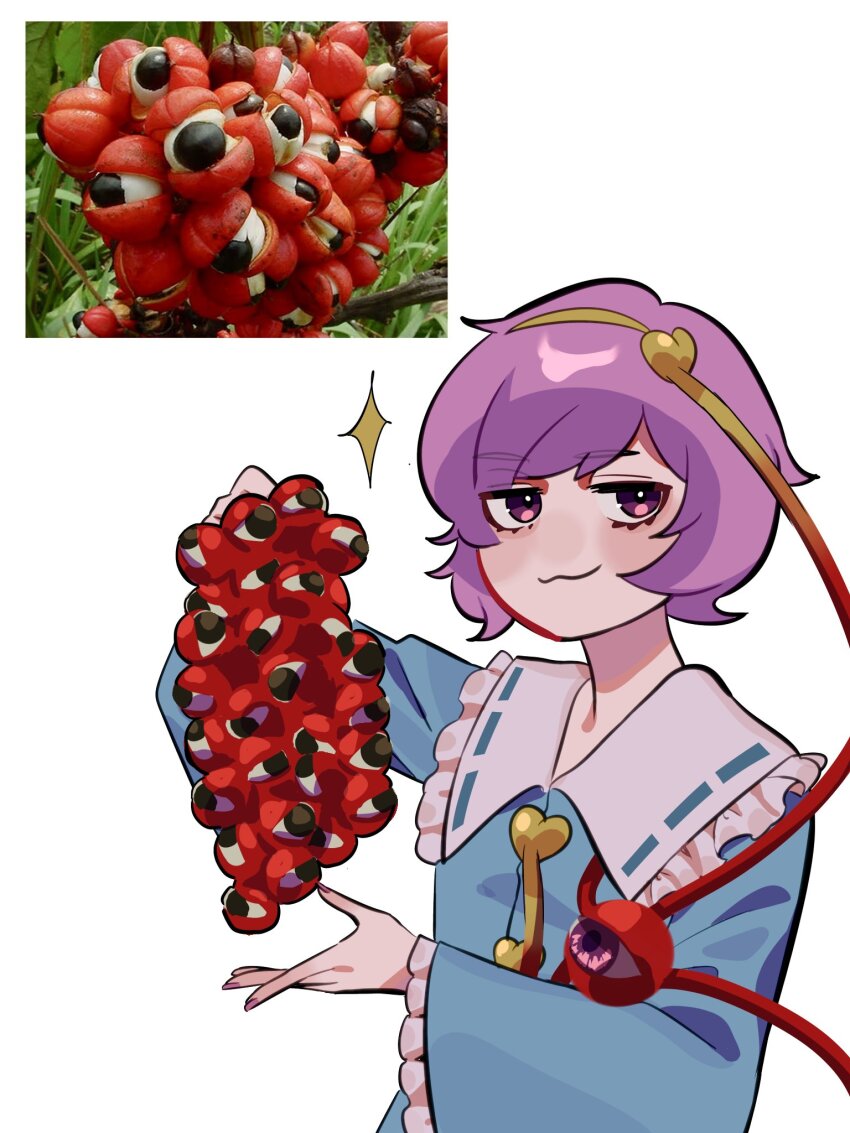 Komeiji Satori (Touhou) Rule 34 Image