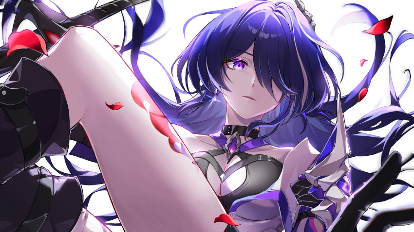 Acheron (Honkai: Star Rail) Rule 34 Image