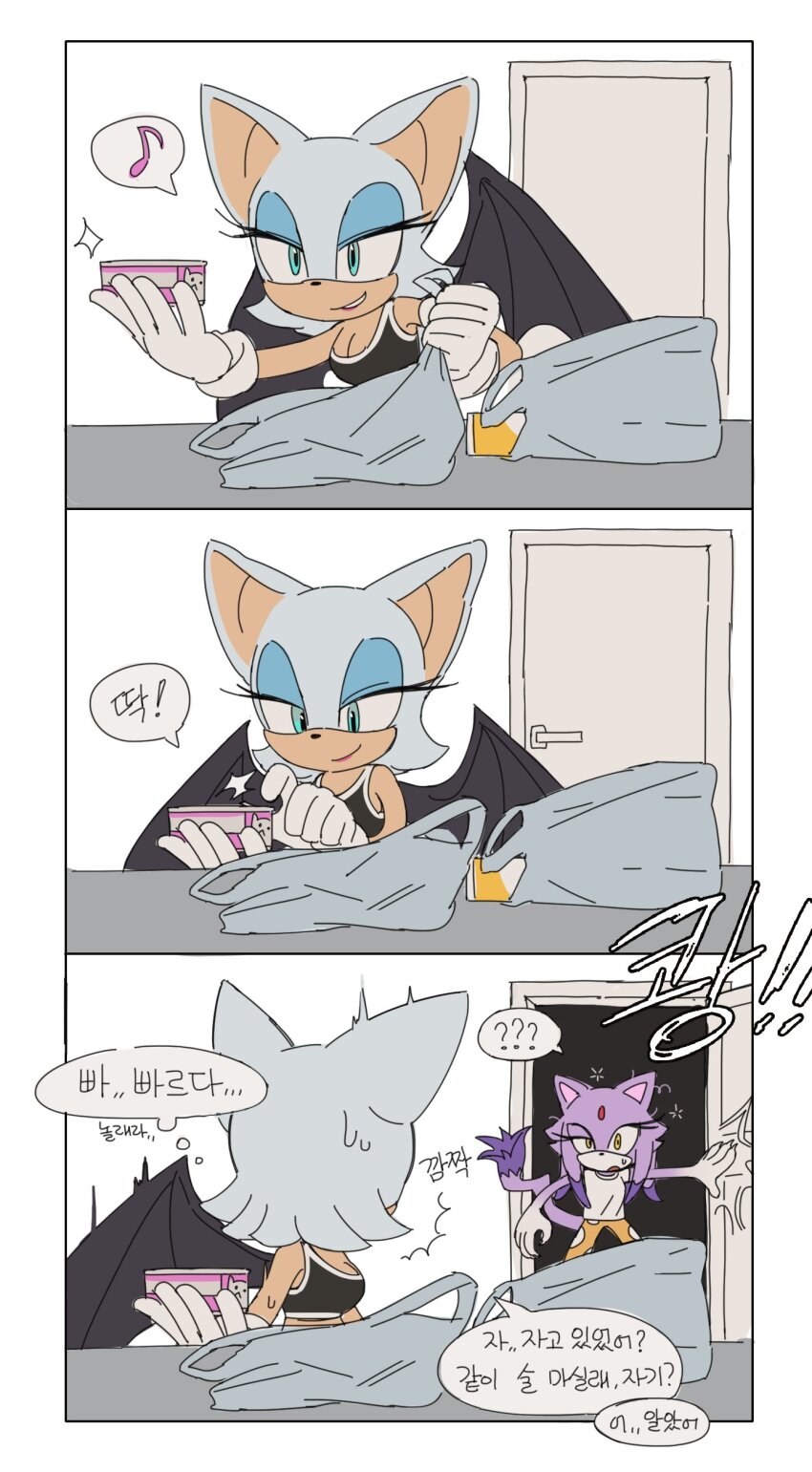 Blaze The Cat (Sonic (Series)) Rule 34 Image