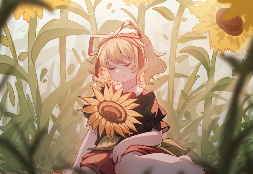 Medicine Melancholy (Touhou) Rule 34 Image