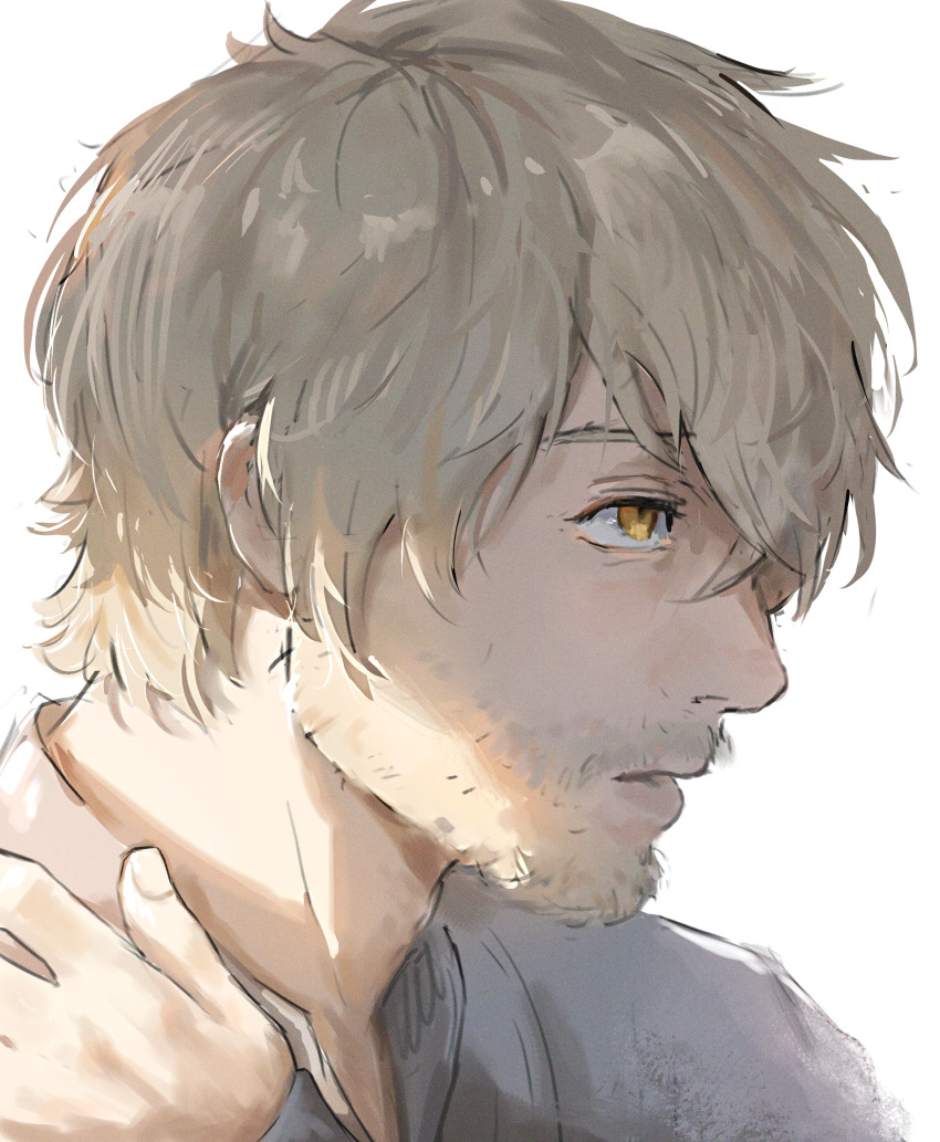 Laios Touden (Dungeon Meshi) Rule 34 Image