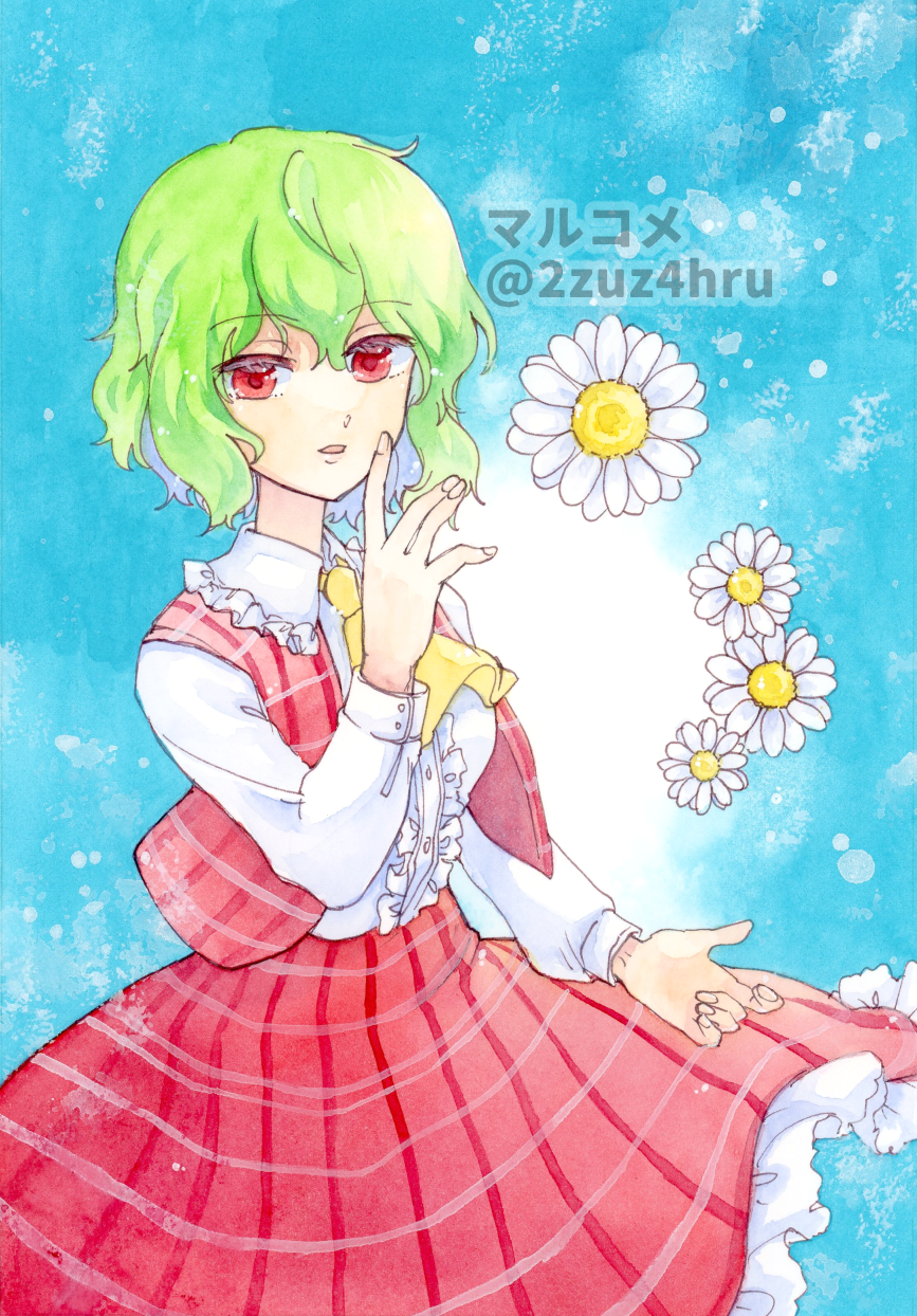 Kazami Yuuka (Touhou) Rule 34 Image