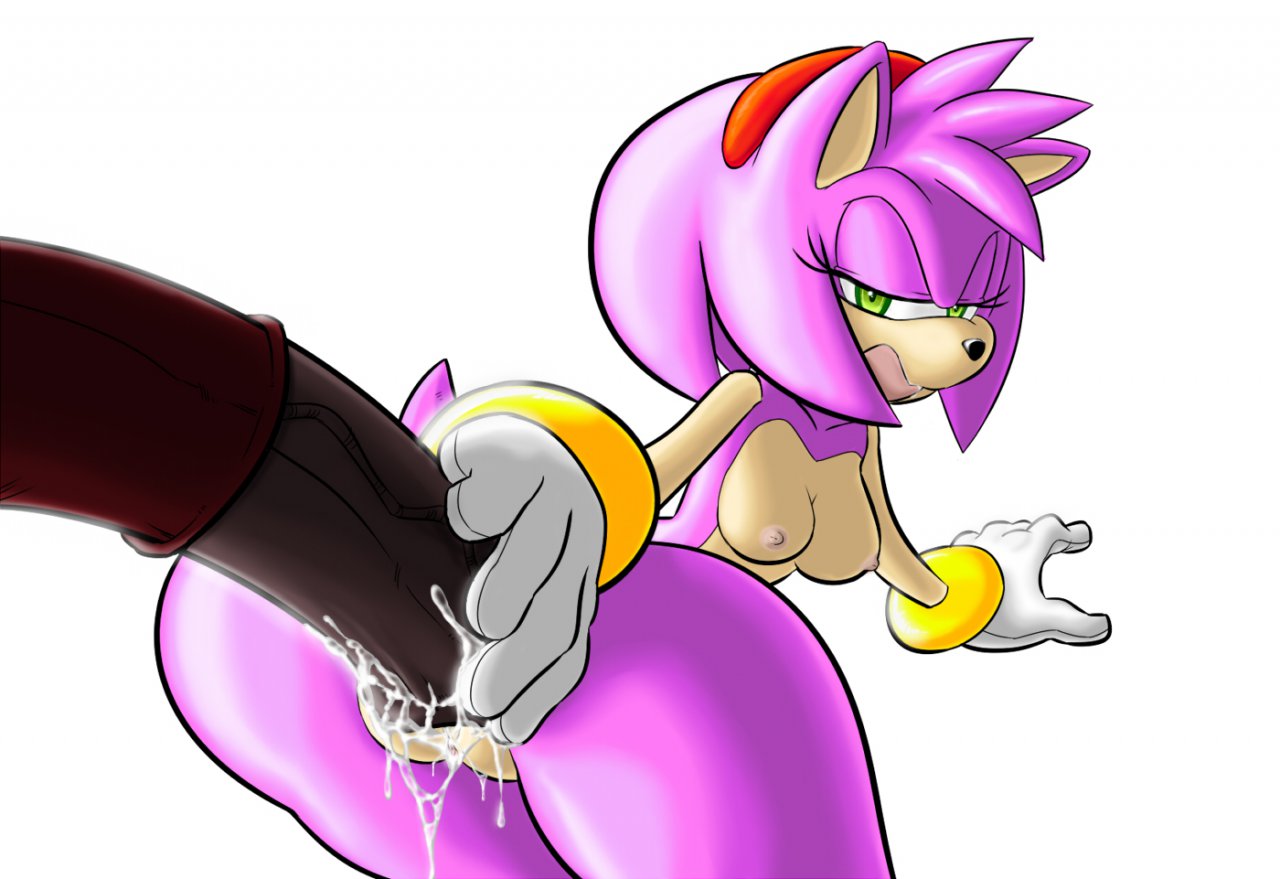 Amy Rose (Sonic (Series)) Rule 34 Image