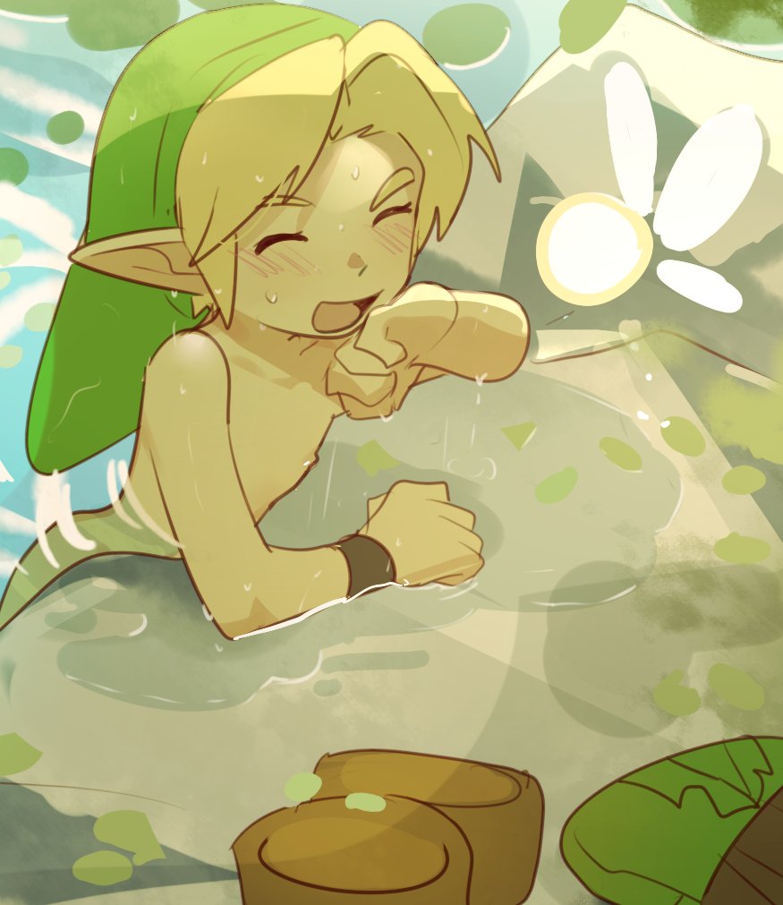 Link (Nintendo) Rule 34 Image