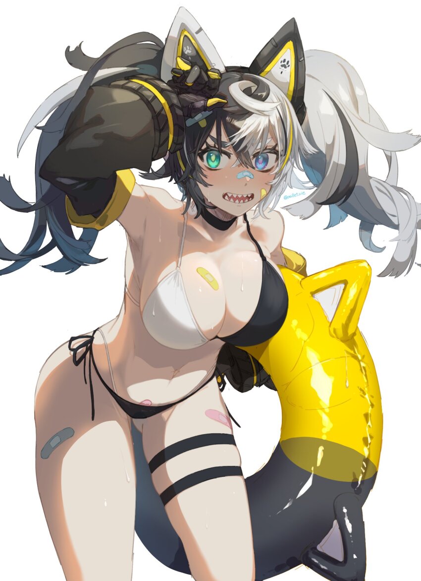 #Compass Rule 34 Image