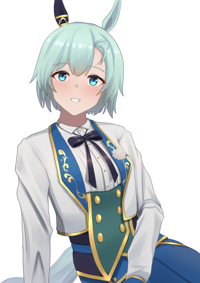 Seiun Sky (Umamusume) Rule 34 Image