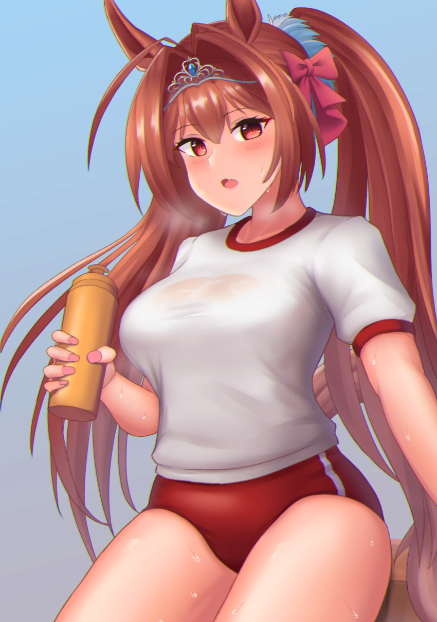 Daiwa Scarlet (Umamusume) Rule 34 Image